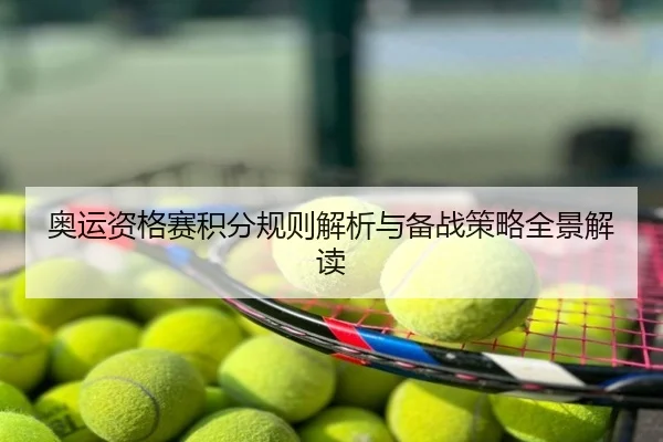 奥运资格赛积分规则解析与备战策略全景解读