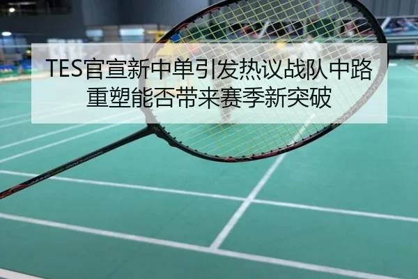 TES官宣新中单引发热议战队中路重塑能否带来赛季新突破