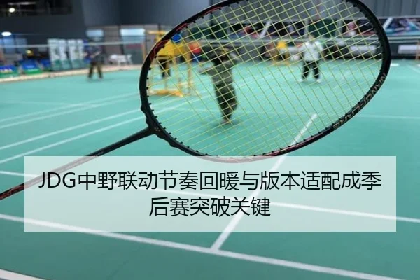 JDG中野联动节奏回暖与版本适配成季后赛突破关键